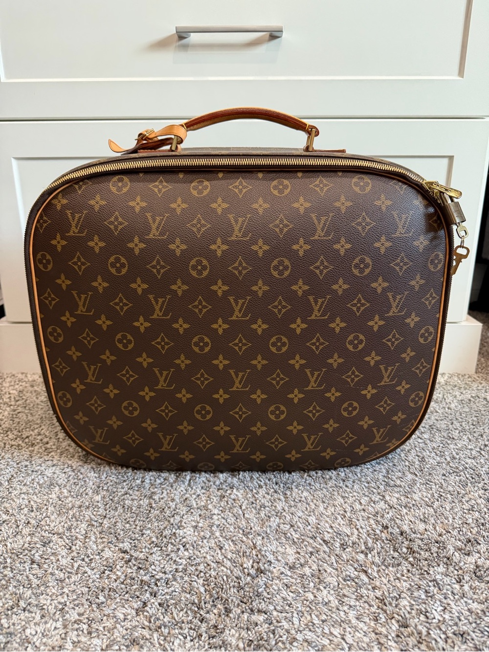 Louis Vuitton Monogram Packall